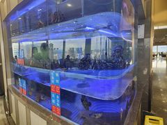 -国贸旋转餐厅(国贸广场店)