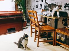 -小时光咖啡馆(开森度假森林店)