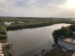 -白洋淀景区
