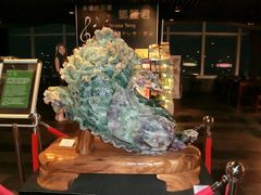 -绮丽珊瑚(台北101旗舰门市店)