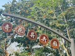 -中国科学院西双版纳热带植物园