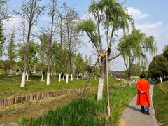 -皇粮浜湿地公园