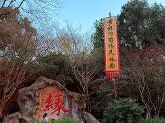 -杭州黄龙洞