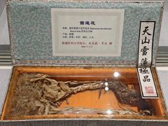 -北京中医药大学-中医药博物馆