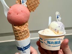 -海比甜店·意式手工冰激淋happy habit gelato