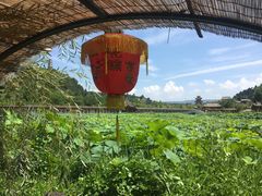 -渭南桃花源民俗文化园