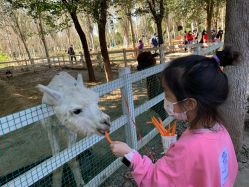 -优沃得自然教育农场·冰雪乐园·生日会·研学