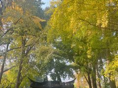 -郑和公园