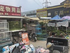 -中环花鸟鱼虫市场