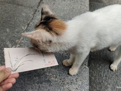 -广州兰圃
