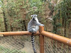 -北京野生动物园