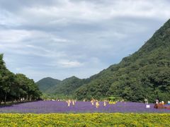 -广州市石门国家森林公园