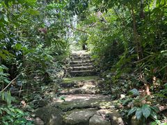 -槟城植物园