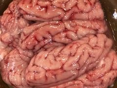 -重庆老火锅王(永陵路分店)