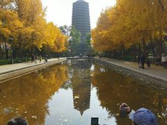 -玲珑塔公园