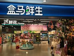 -盒马鲜生(宝地店)