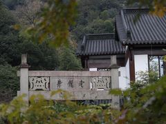 -十八棵（老龙井）御茶园(老龙井店)