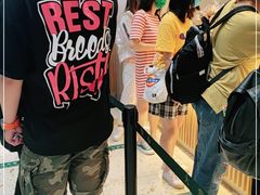 -泸溪河桃酥(西直门凯德店)