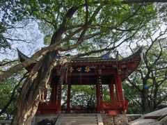 -乌山风景区
