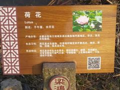 -梁鸿国家湿地公园