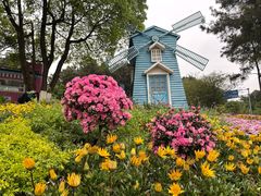 -铁山坪森林公园