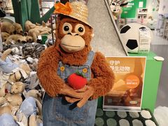 -IKEA宜家家居(南京商场)