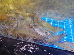 -渔民船说·北塘海鲜·天津菜·海肠捞饭(北塘古镇店)