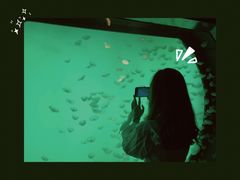 -沈阳海洋探索中心