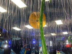 -青岛东方影都融创水世界