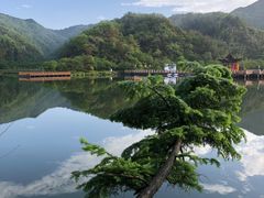 -永州阳明山国家森林公园