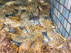 -马王堆海鲜水产市场