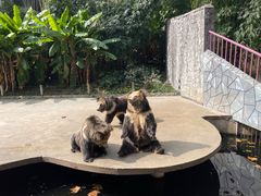 -贵州森林野生动物园