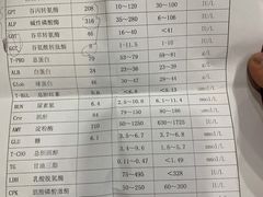 -爱侣宠医·鹦鹉专科·小型哺乳类·异宠专科(灵石路店)