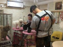 -喵汪宠物生活馆(涞坊路店)