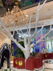 点击看大图 -同远QQBABY亲子摄影(北京路店)