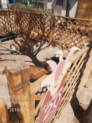 点击看大图 -萌宠亲子动物乐园(槐房万达店)