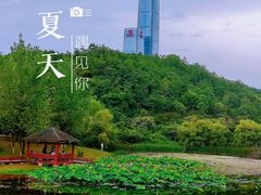 -观山湖公园