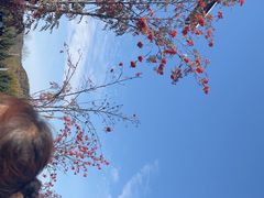 -汤旺河林海奇石景区