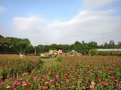 -嘉北郊野公园