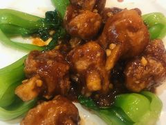 脆皮莲藕-南来顺饭庄·清真(南菜园店)