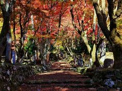 -醍醐寺