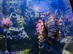 -太平洋海底世界