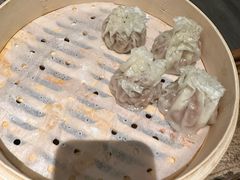 -老阿妈蒙古村·蒙古包·草原文化·歌舞表演(老君堂店)