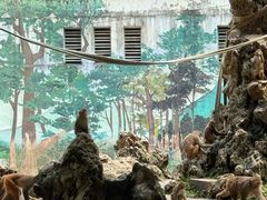 -成都动物园