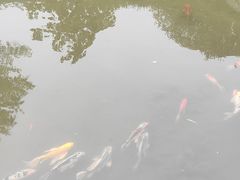 -江宁织造博物馆