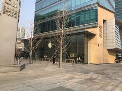 -Apple零售店(华贸购物中心店)