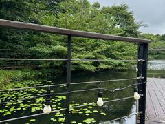 -济州森林小火车生态公园