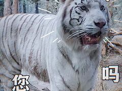 -红山森林动物园