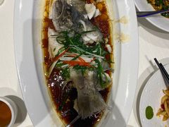 -院里寻菜·精致庭院菜(观沙岭店)