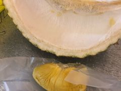 -都念榴莲·城市榴莲